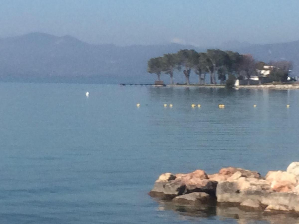 Appartamento Dei Salici Ronchi  外观 照片